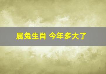 属兔生肖 今年多大了